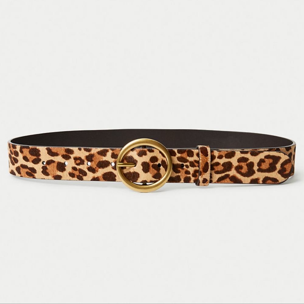 Aritzia belt